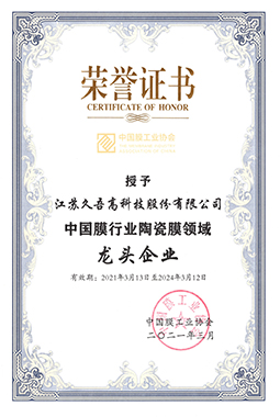 中国膜行业91视频污污网站领域龙头企业