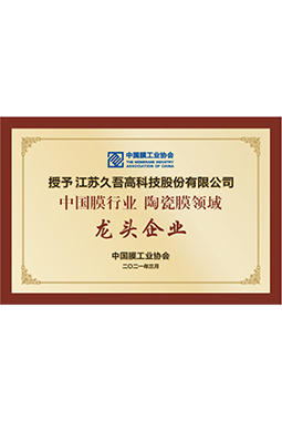 中国膜行业91视频污污网站领域龙头企业